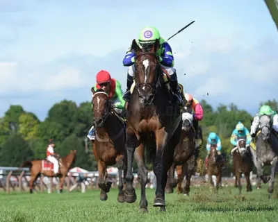Fasig-Tipton photo