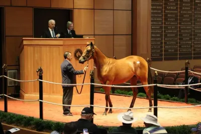Fasig-Tipton photo