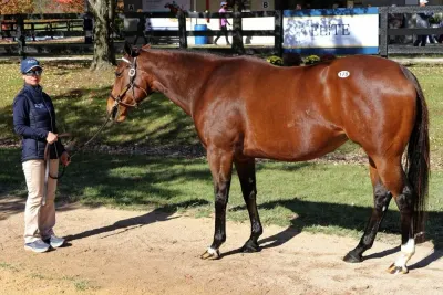Fasig-Tipton photo