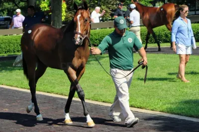 Fasig-Tipton photo