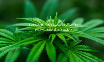 FLiFLA CBD photo