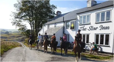 Freerein Riding Holidays photo