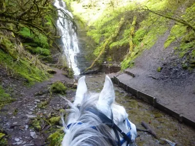Freerein Riding Holidays photo