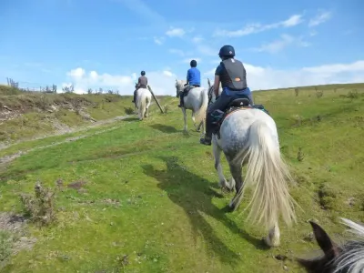 Freerein Riding Holidays photo