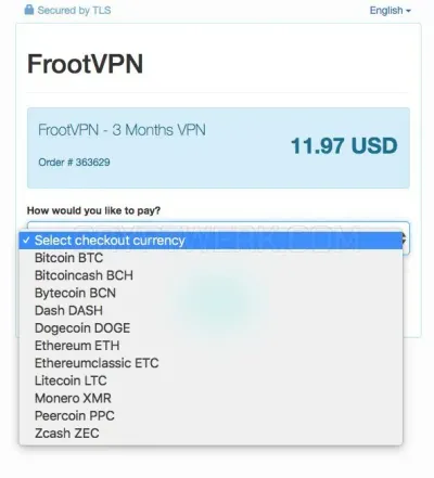 FrootVPN photo