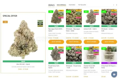 Ganja West photo