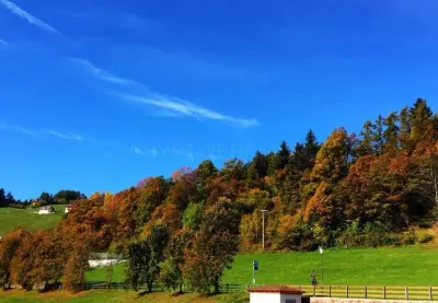 Gasthaus Bachmann photo