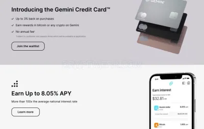 Gemini photo