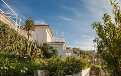 Gocce Di Capri photo