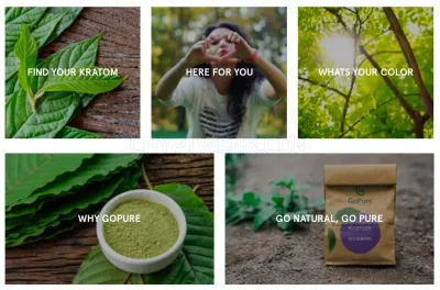 GoPure Botanicals photo