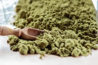 GoPure Botanicals photo