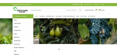 Green Cloud Solutions photo