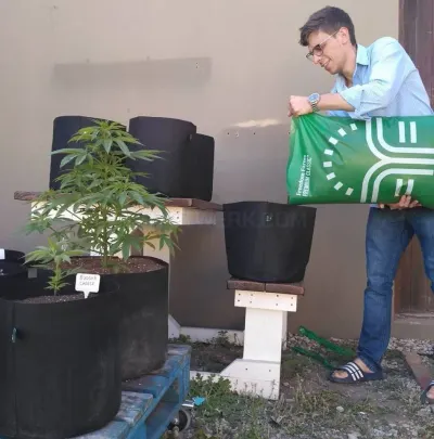 Grow Guru photo