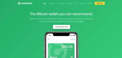 HandCash photo