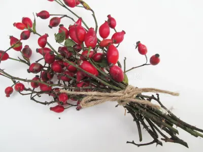 Hanging Wood photo