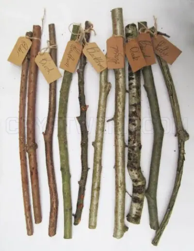 Hanging Wood photo