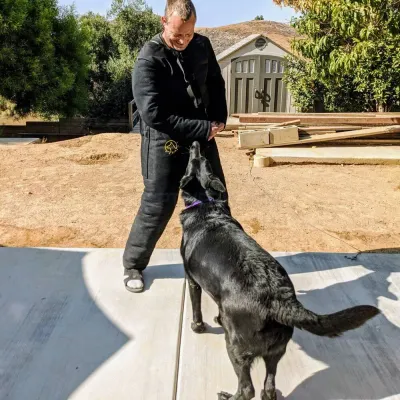 Happy Dog Training photo