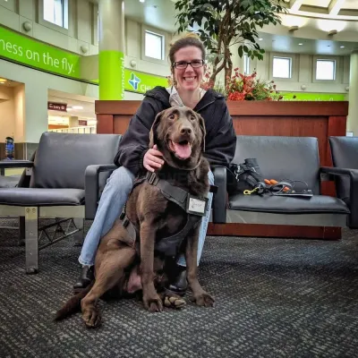 Happy Dog Training photo