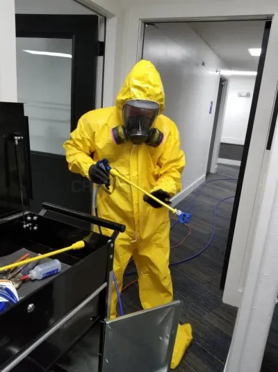 Healthy Home Environmental Services photo