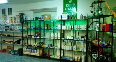 hempbasement.ch photo
