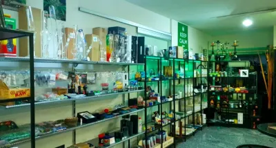 hempbasement.ch photo