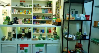 hempbasement.ch photo