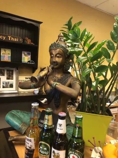 Hot & Spicy Thai photo