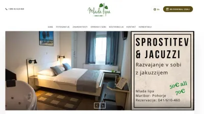 Hotel Mlada Lipa photo