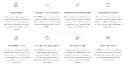 Hybrid MLM Software photo