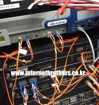Internet Brothers photo