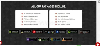 IPTVizion Hosting photo