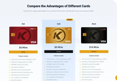 KalyPay photo