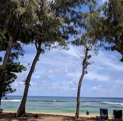 Kauai Shores photo