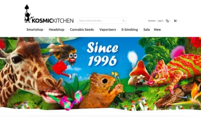Kosmic Kitchen photo