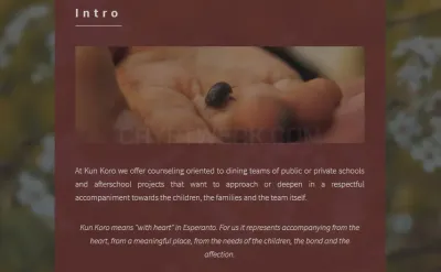 Kun Koro Kiwi photo