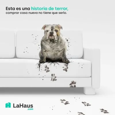 La Haus photo