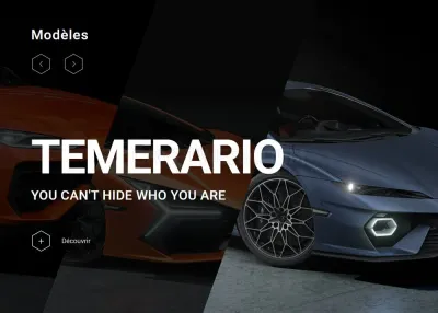 Lamborghini Bordeaux photo