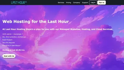 Last Hour Hosting photo