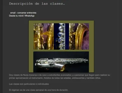 Lecciones de saxo y flauta traversa photo