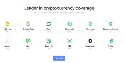 Ledger shop photo