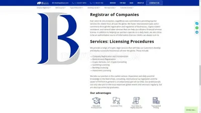 LegalBison.com - Crypto Company / Licenses photo