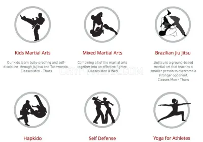 Lightning Kicks Martial Arts photo
