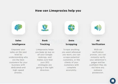 Limeproxies.com photo