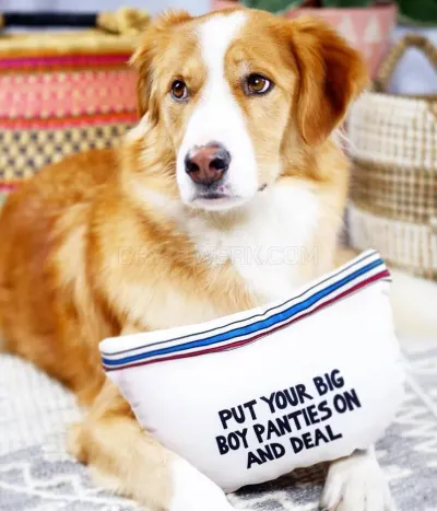 Lucky Bubs Pets photo