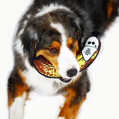 Lucky Bubs Pets photo