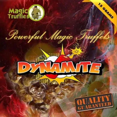 Magic Truffles photo