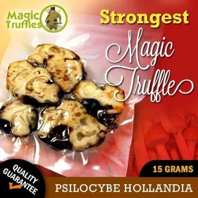 Magic Truffles photo