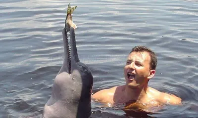 ManausBooking Brazil Manaus photo