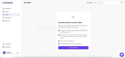 No KYC Crypto Payment Gateway - Maxelpay photo