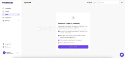 No KYC Crypto Payment Gateway - Maxelpay photo